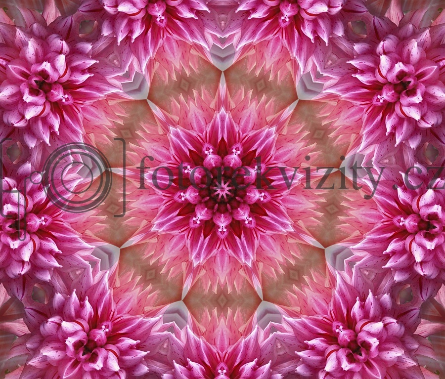 Vinylové fotopozadí - mandala