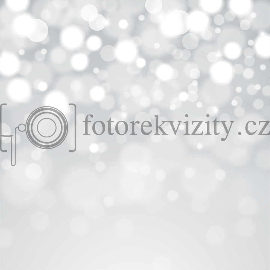 Vinylové fotopozadí - zimní