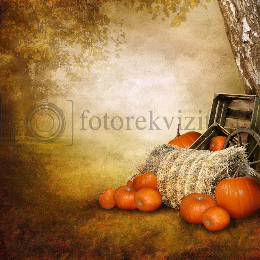 Vinylové fotopozadí - podzim, dýně, sláma
