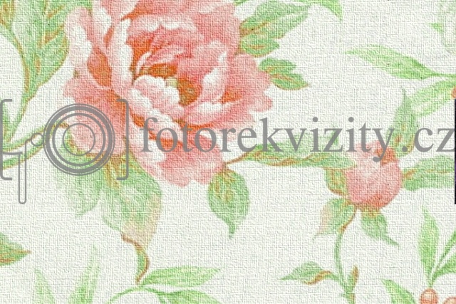 Spojené fotopozadí + fotopodlaha