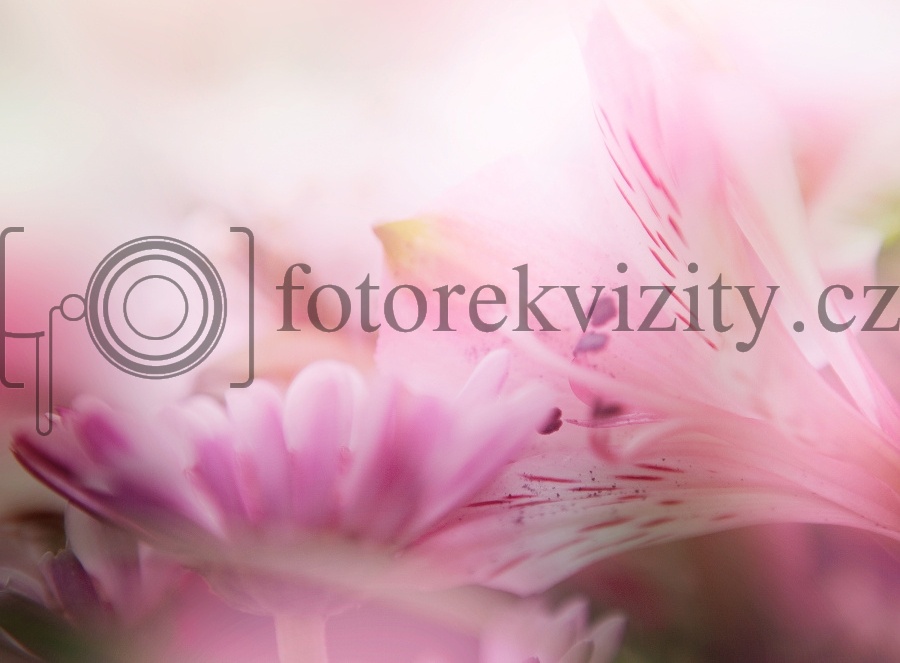 Vinylové fotopozadí