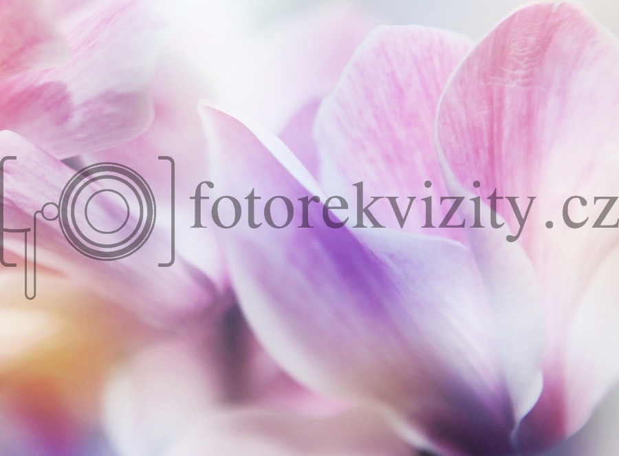 Vinylové fotopozadí
