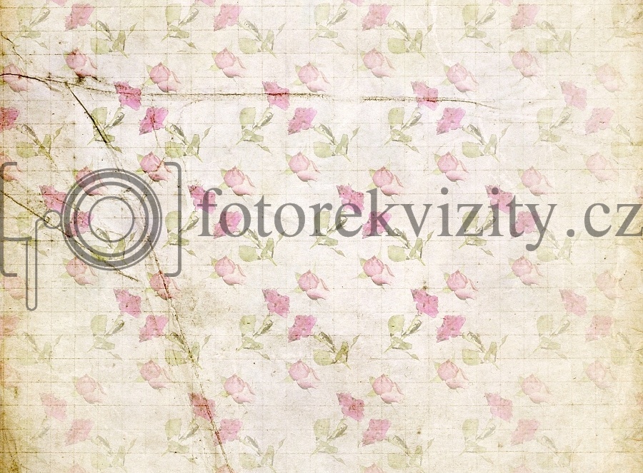 Vinylové fotopozadí