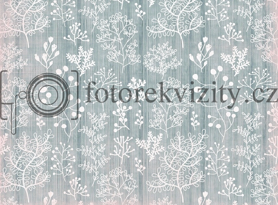 Vinylové fotopozadí
