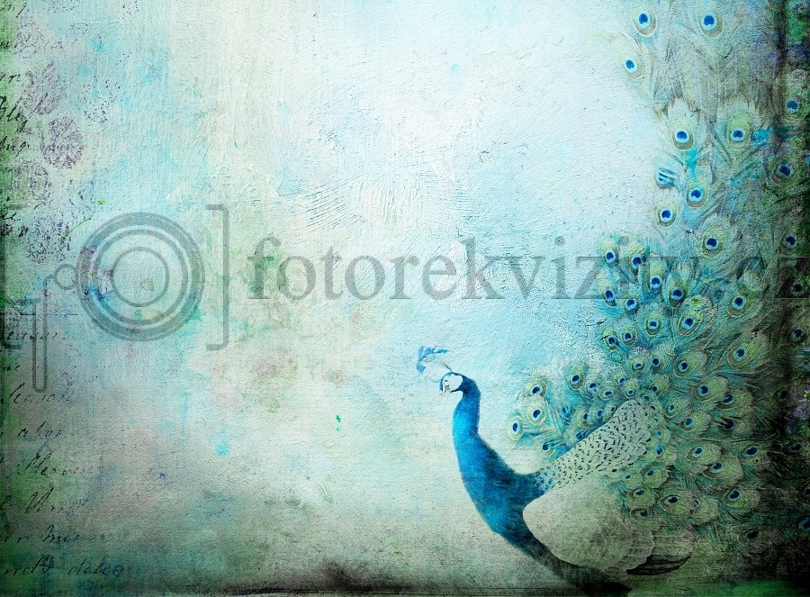 Vinylové fotopozadí