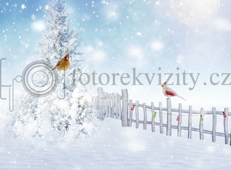 Vinylové fotopozadí