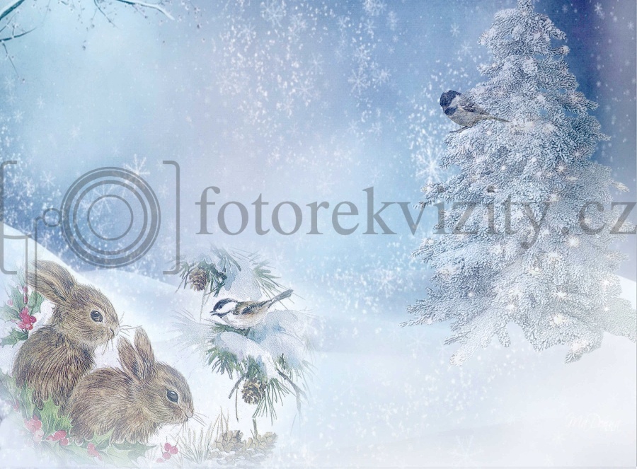 Vinylové fotopozadí