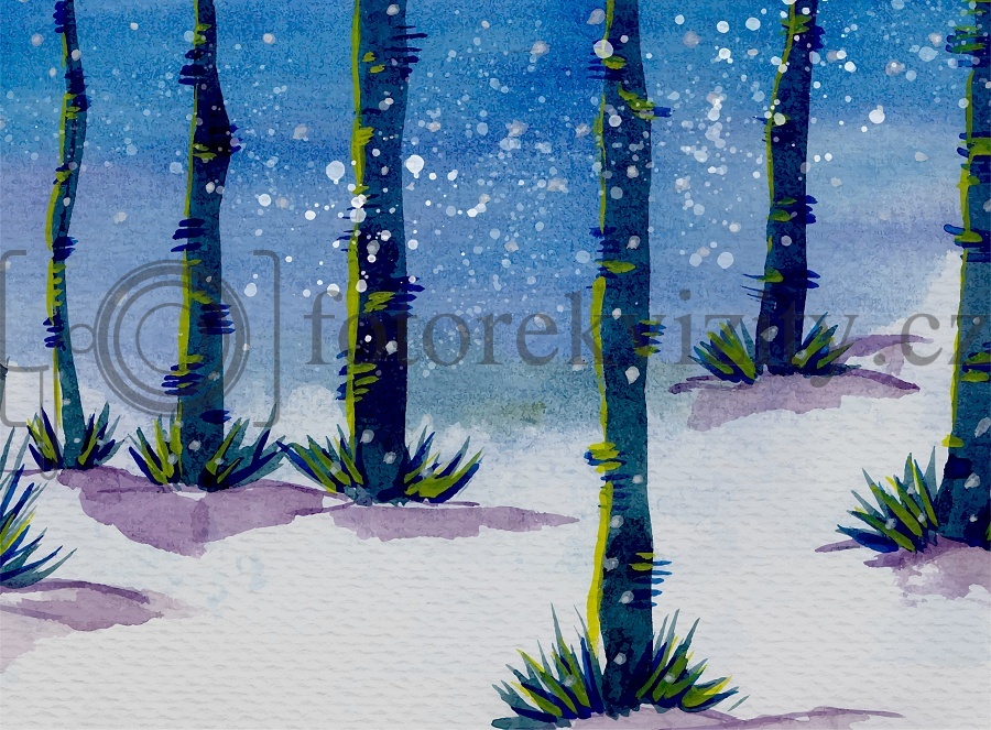 Vinylové fotopozadí - zimní