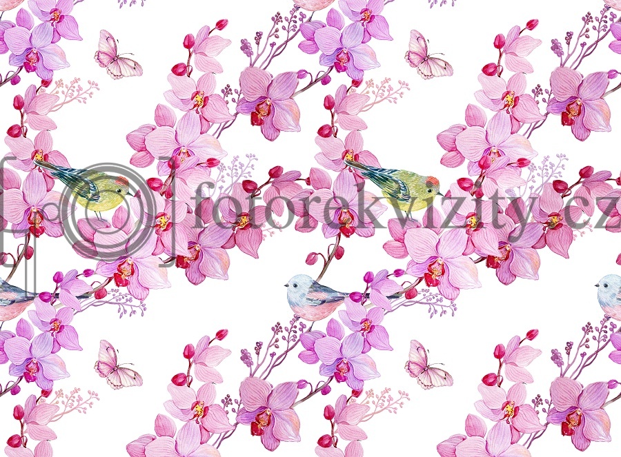 Vinylové fotopozadí - Květy, jaro, orchidej