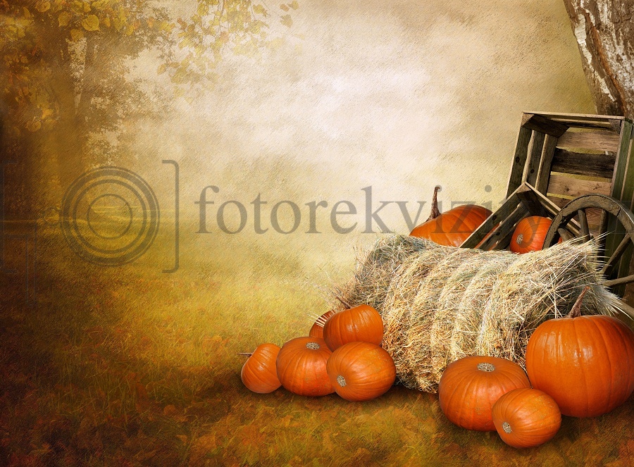Vinylové fotopozadí - podzim, dýně, sláma