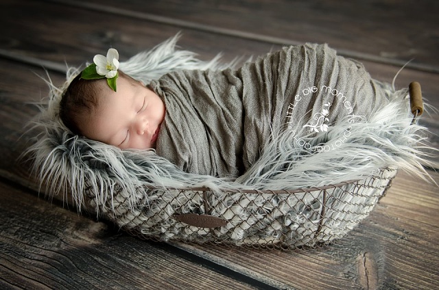 Fotopozadí + fotopodlaha