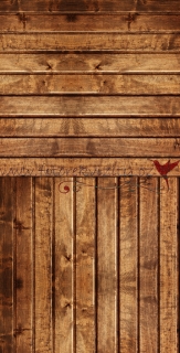 Fotopozadí + fotopodlaha