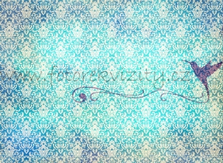 Fotopozadí