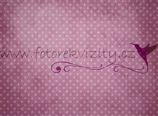 Fotopozadí