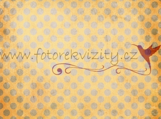 Fotopozadí