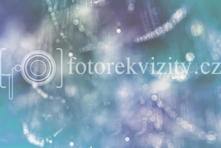 Fotopozadí