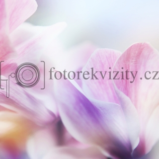 Vinylové fotopozadí