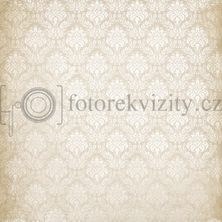 Vinylové fotopozadí