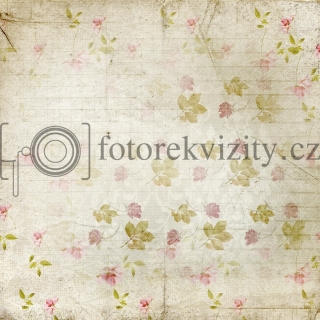 Vinylové fotopozadí