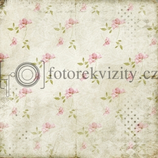 Vinylové fotopozadí