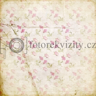 Vinylové fotopozadí