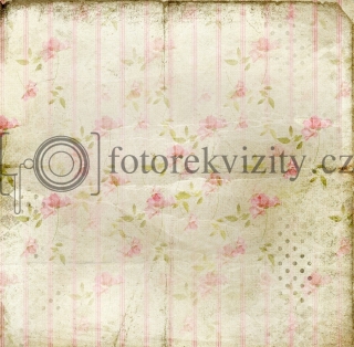 Vinylové fotopozadí