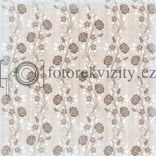 Vinylové fotopozadí