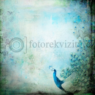 Vinylové fotopozadí