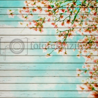 Vinylové fotopozadí
