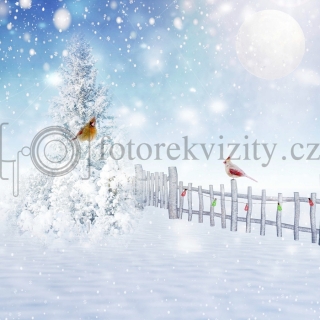 Vinylové fotopozadí