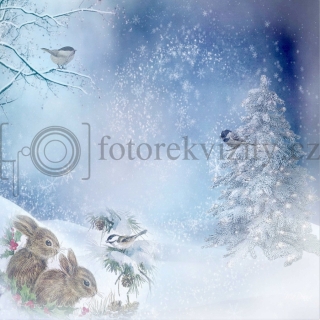 Vinylové fotopozadí