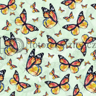 Vinylové fotopozadí