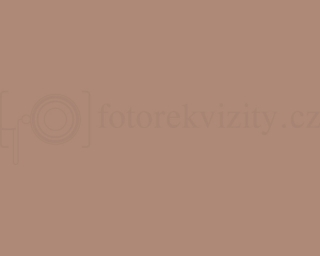 Vinylové fotopozadí