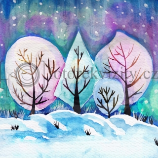 Vinylové fotopozadí - zimní