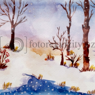 Vinylové fotopozadí - zimní