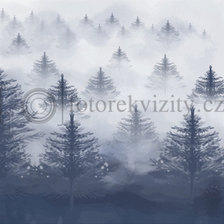 Vinylové fotopozadí - zimní