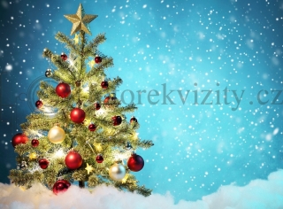 Vinylové fotopozadí - vánoční