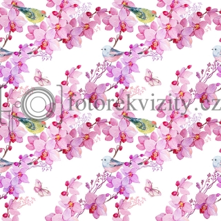 Vinylové fotopozadí - Květy, jaro, orchidej