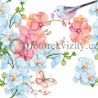 Vinylové fotopozadí - Květy, jaro, orchidej