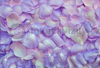 Vinylové fotopozadí - plátky růží