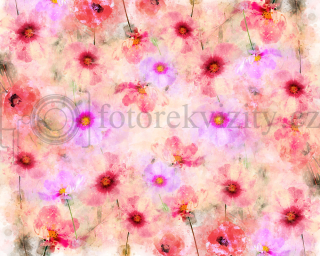 Vinylové fotopozadí - květy, máky