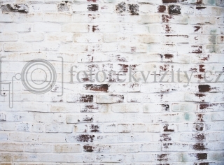 Vinylové fotopozadí -  stará oprýskaná zeď