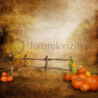 Vinylové fotopozadí - podzim, dýně, plot