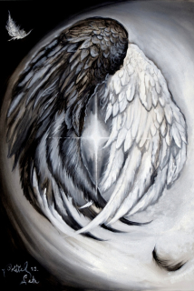 Jin a jang - Petr Polášek