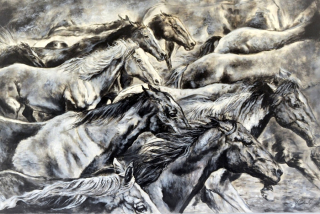 Ladnost koní - Petr Polášek