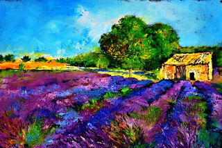 Provance - Petr Polášek