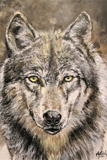 Vlk - Petr Polášek