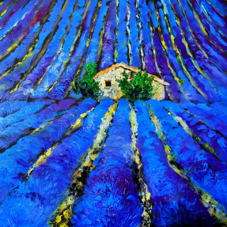 Levandulové pole v kopci - Petr Polášek