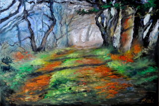 Tajemná krajina - Petr Polášek